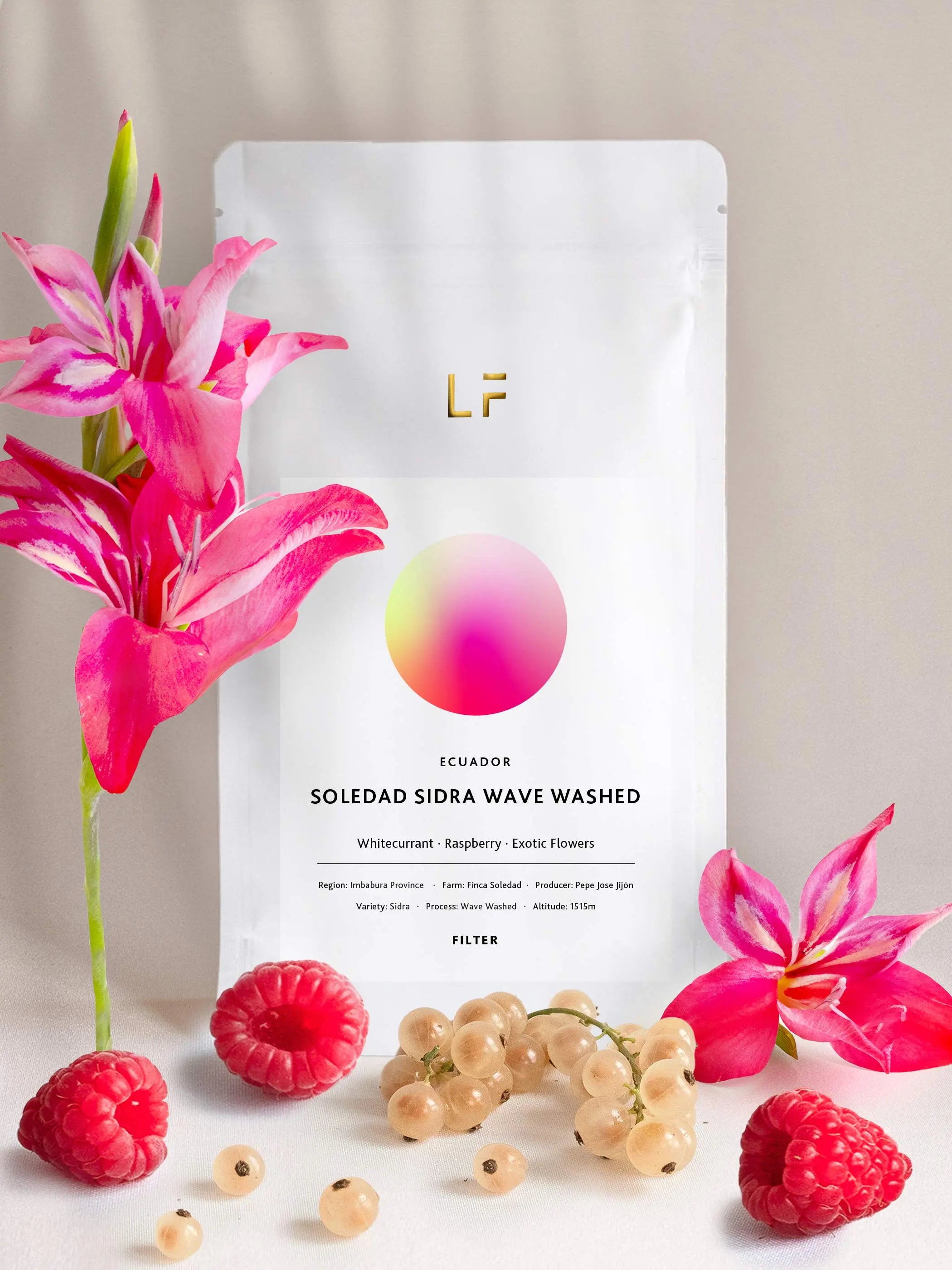 Finca Soledad Sidra washed XTD · Ecuador Filterkaffee | Leuchtfeuer ...